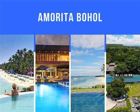 amorossa island resort philippines|Amorita Resort, Bohol: The Hidden Oasis of Panglao.